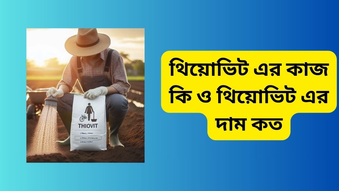 থিয়োভিট এর কাজ কি ও থিয়োভিট এর দাম কত