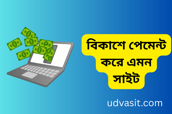 বিকাশে পেমেন্ট করে এমন সাইট