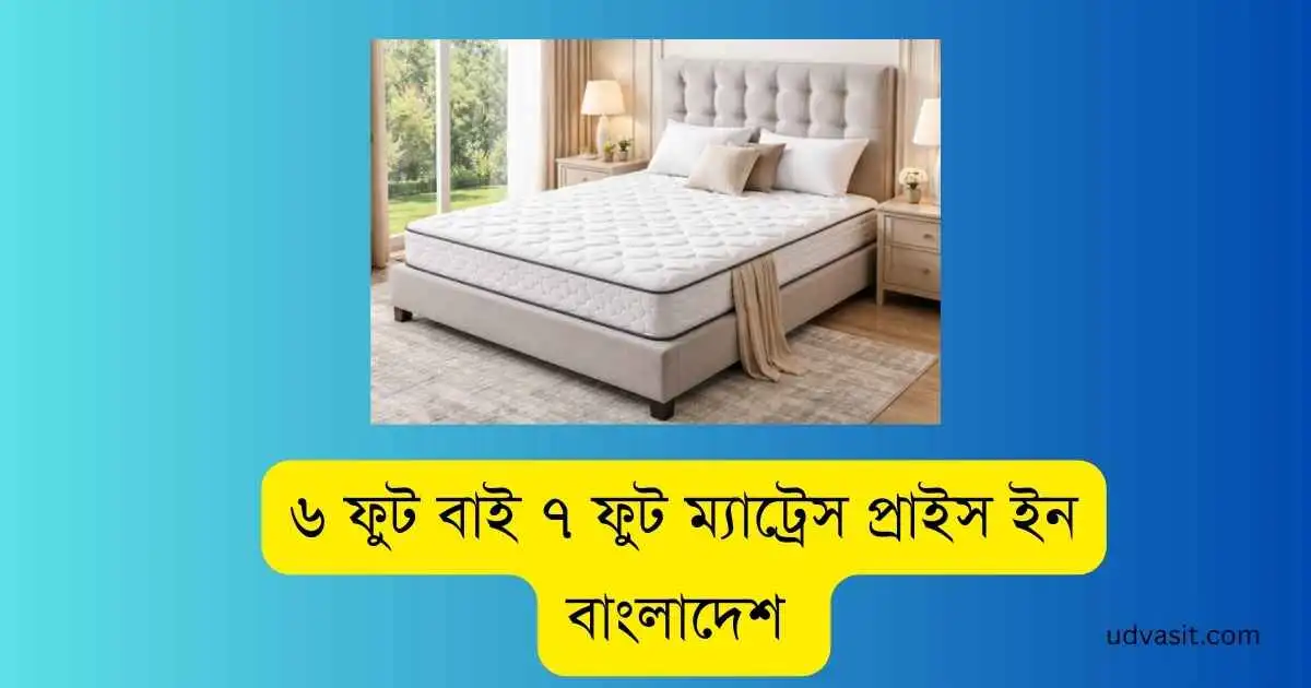 ৬ ফুট বাই ৭ ফুট ম্যাট্রেস প্রাইস ইন বাংলাদেশ