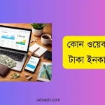 কোন ওয়েবসাইট থেকে টাকা ইনকাম করা যায়