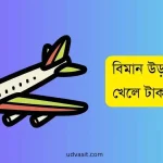 বিমান উড়ানো গেম খেলে টাকা ইনকাম